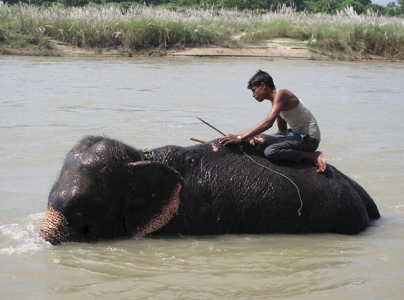 Chitwan Nationalpark. – Bild: SR/​Carsten Heider