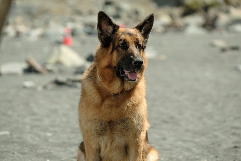 Bild: Photo Credit: Derm Carberry /​ Derm Carberry /​ Shaftesbury