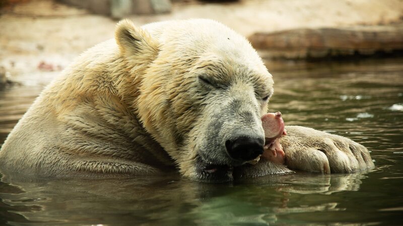 . – Bild: Warner Bros. Discovery