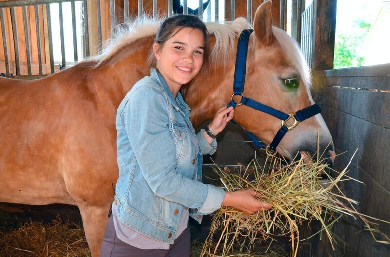 Pferde fressen hauptsächlich Heu und zwischendurch Stroh. Anna hat „Quicket“ damit reichlich versorgt. – Bild: BR/​TEXT + BILD Medienproduktion GmbH & Co. KG