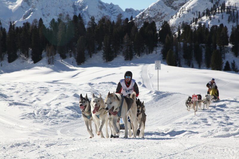 Zwei Husky-Gespanne in den Südtiroler Dolomiten. – Bild: BR/​Hans Rogge