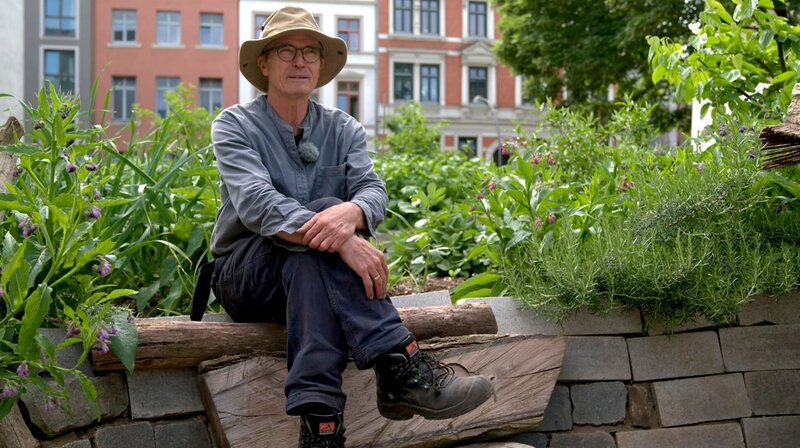 Boulevard der Gegensätze – Bild: NDR