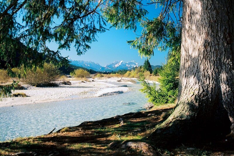 Die Isar im Herbst: Von Oktober bis Dezember suchen Bachforellen ihre Laichplätze. – Bild: ARTE/​BR /​ Jürgen Eichinger