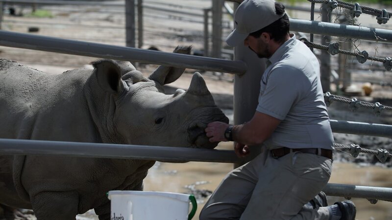 Weston Popichak with white rhinos – Bild: Keri Butler/​Animal Planet /​ Discovery Communications, LLC