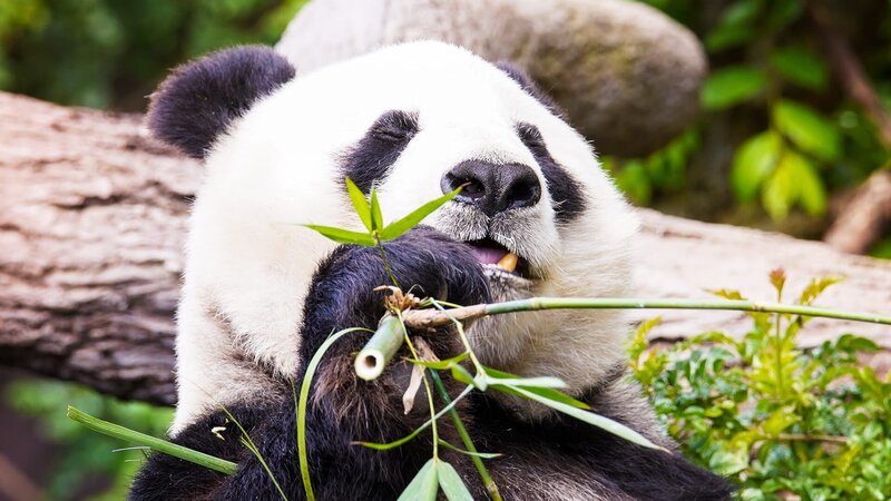 . – Bild: Warner Bros. Discovery