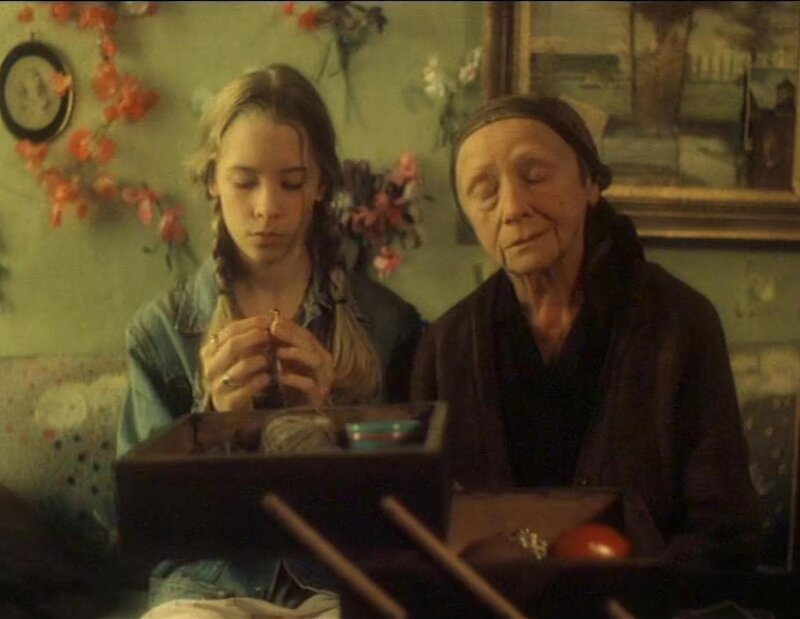 Das Geheimnis der Kormoraninsel – Bild: NDR/​NDR