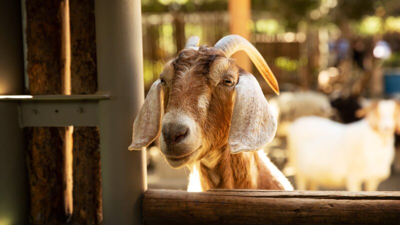 . – Bild: Warner Bros. Discovery