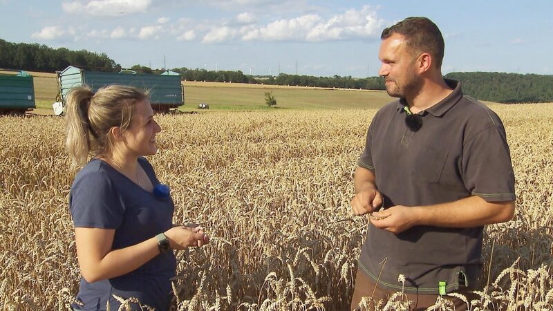 Mutterkuhhalter Max (33) aus Thüringen und Selina (24, Kauffrau) prüfen, ob das Feld geerntet werden kann. – Bild: RTL