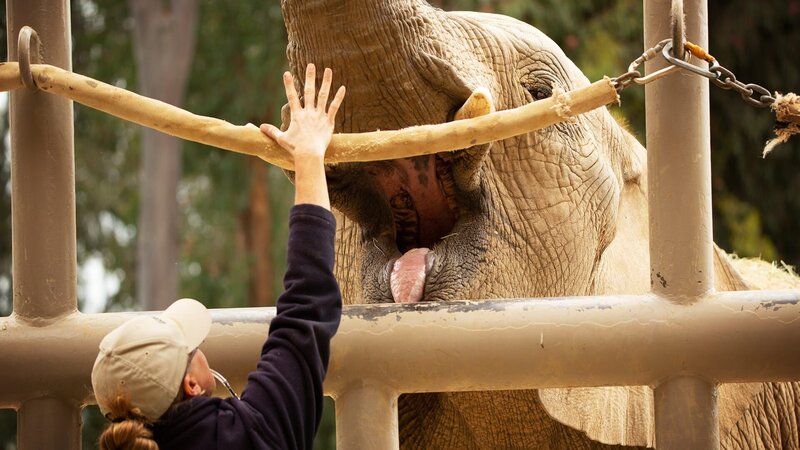 . – Bild: Warner Bros. Discovery