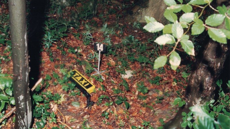 Der Täter hat das Taxischild im Wald entsorgt. – Bild: ZDF /​ Kripo Stuttgart
