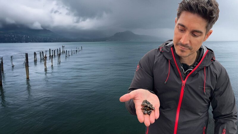 Einstein Invasive Quagga-Muscheln: Kollabierende Seen und Millionenschäden Tobias Müller zeigt verschiedene Quagga-Muscheln. – Bild: SRF