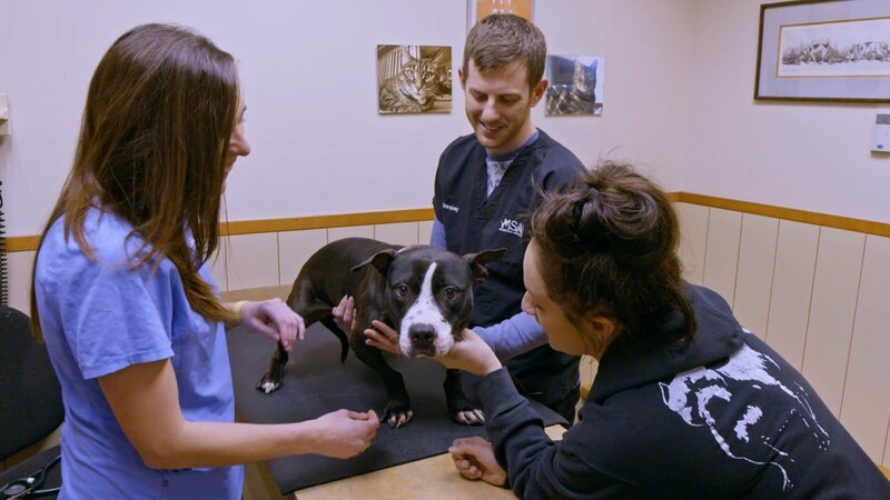 M2 getting Lanister checked out with Dr. Meredith. – Bild: Discovery Communications, LLC