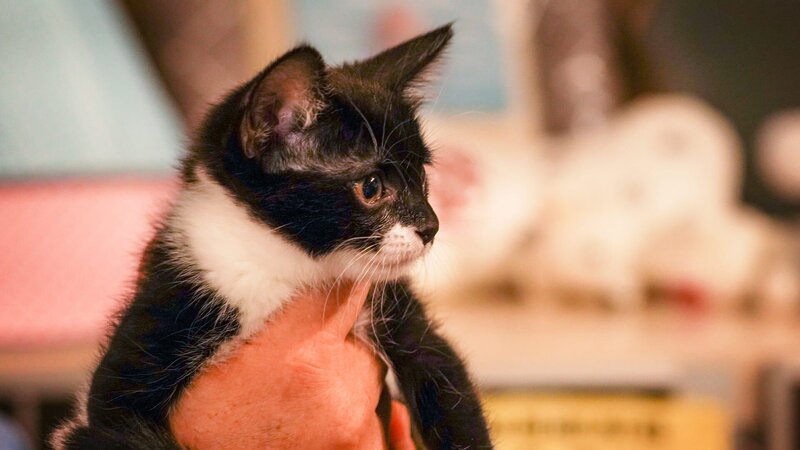 . – Bild: Warner Bros. Discovery