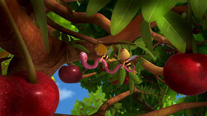Maja und Willi zeigen Max die süßesten Kirschen. – Bild: ZDF/​Studio100 Animation