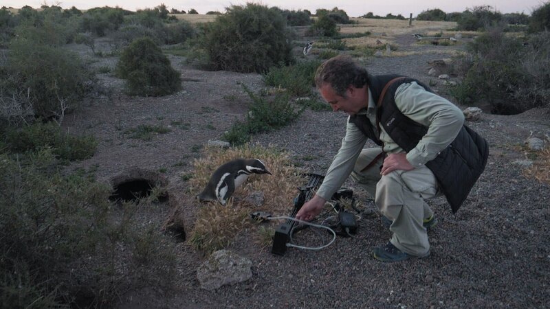 Das Filmteam gewährt einen Blick hinter die Kulissen +++ – Bild: RTL /​ (c) Terra Incognita Docs