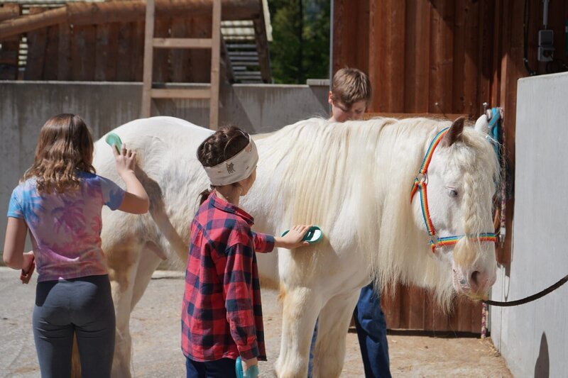 Drei Kinder kümmern sich fürsorglich um Pony Norbert am Ponyhof – Bild: Degn Film /​ ServusTV