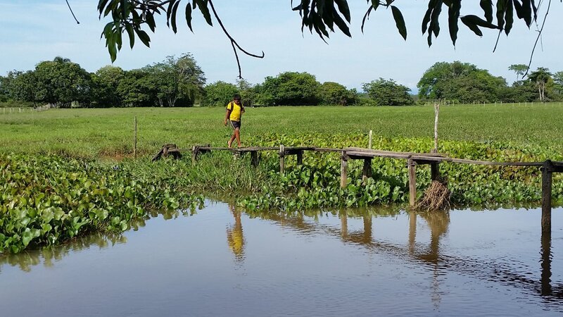 Der zehnjährige Juan muss über eine instabile, morsche Brücke gehen, um in die Schule zu kommen. – Bild: 3sat