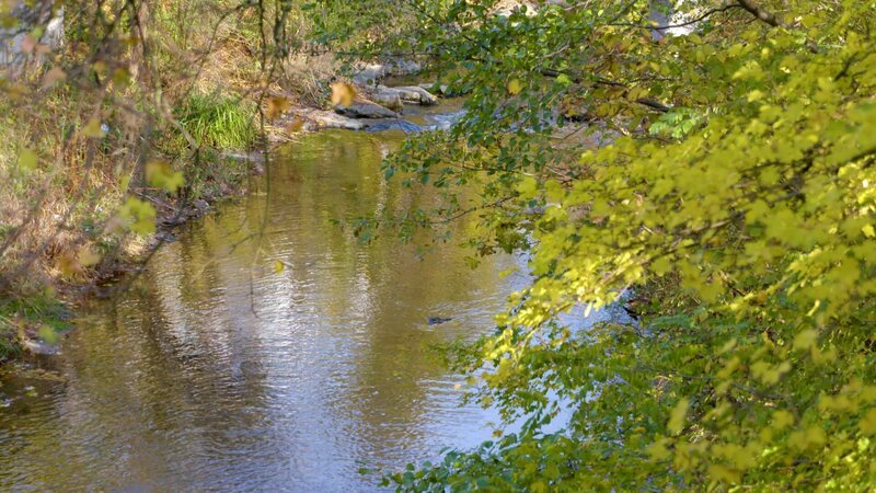 Wienfluss bei Wolf in der Au. – Bild: ORF