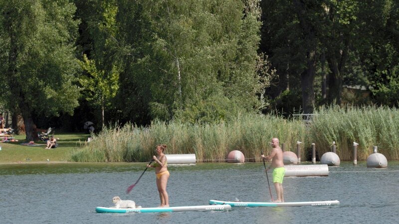 Standup Paddeln an der Alten Donau. – Bild: ORF/​emb film