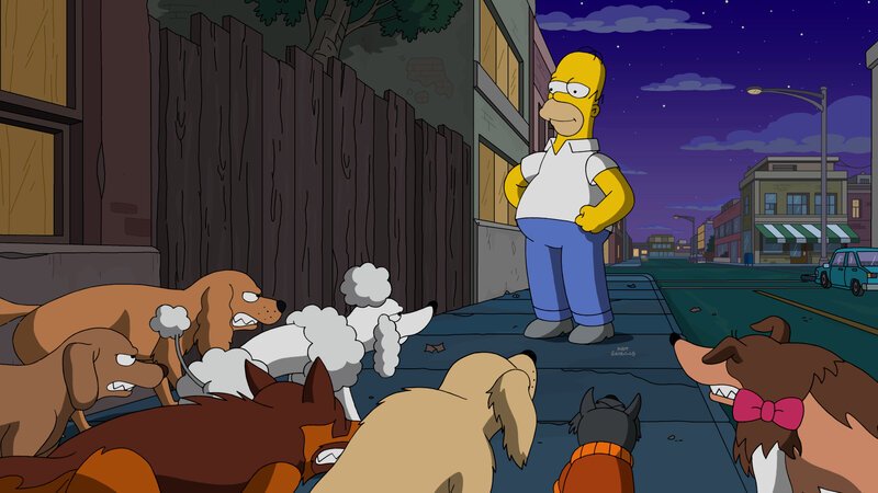 Muss einsehen, dass sich neuerdings alles um den Hund dreht: Homer … – Bild: Fox and its related entities.