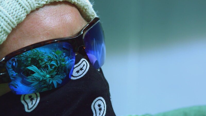 „The Farmer“, ein Ostküsten-Grower mit Marihuana-Reflexionen in seiner Sonnenbrille. – Bild: National Geographic Channels/​Giovanni Ulleri