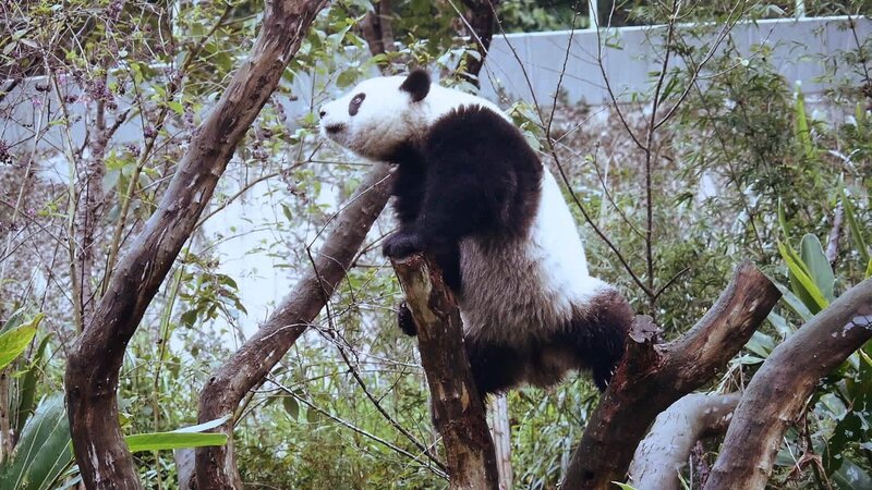 Bild: Comedy Central