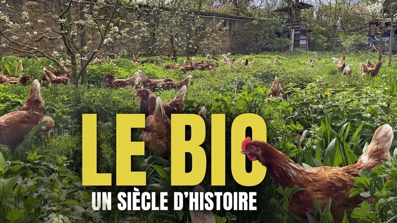  – Bild: Arte