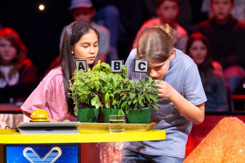 Mia (l.) und Paolo (r.) beratschlagen sich bei der „Terra X-Show Kids“, welche Pflanze Basilikum sein könnte. – Bild: ZDF/​Ralf Wilschewski