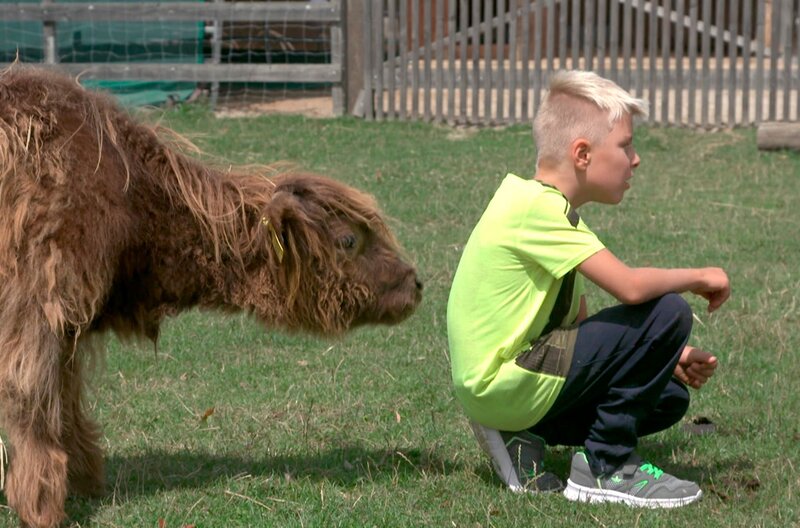 Auf dem Erlebnisbauernhof von Nicki und Sepp in Oberbayern sind heute Kinder aus einem Ferienprogramm zu Besuch. Die jungen Gäste dürfen Tiere füttern, streicheln und selbst Butter machen. – Bild: NDR/​BR/​isarflimmern/​Michael Facchini