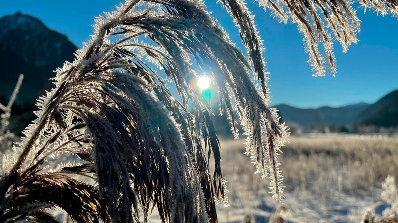 In der winterlichen Eiseskälte kommt auch die Natur zur Ruhe. – Bild: BR