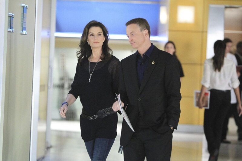 Gelingt es Jo Danville (Sela Ward) und Mac Taylor (Gary Sinise), das Geheimnis der Tatwaffe zu ermitteln? – Bild: VOX