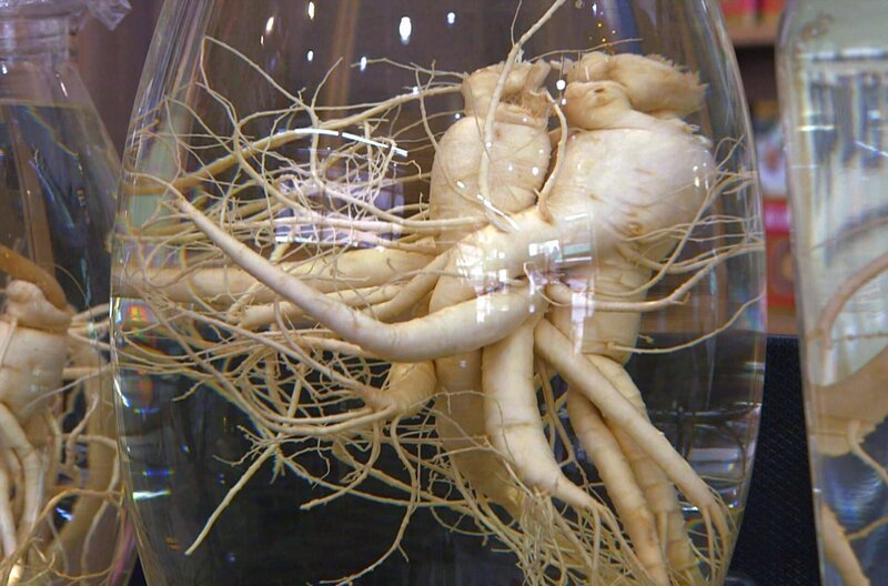 Ginseng darf in keinem ordentlichen koreanischen Haushalt fehlen: Die Wurzel dient als Heilpflanze und Grundnahrungsmittel. – Bild: Elephant Doc