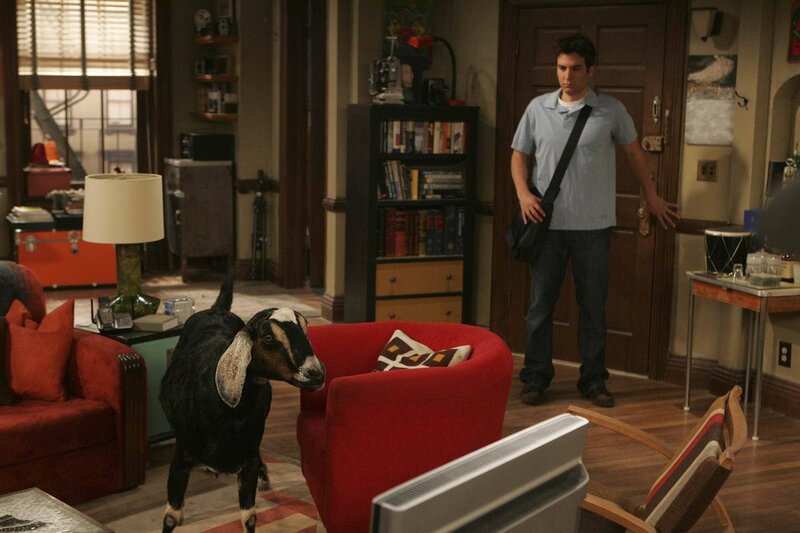 Ted (Josh Radnor) bekommt tierischen Besuch … – Bild: 20th Century Fox International Television Lizenzbild frei