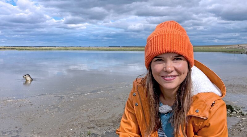 Die wilde Hilde ist zurück in ihrer Heimat: der Nordsee. Für den Seehund und Anna nimmt das Abenteuer ein glückliches Ende. – Bild: BR/​Text und Bild Medienproduktion GmbH & Co. KG/​Ben Wolter