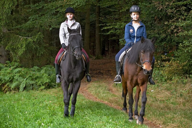 Constanze (Luise Ehl) und Kim (Sophia Scheske) auf verbotenen Reiterpfaden. – Bild: SWR/​Maria Wiesler