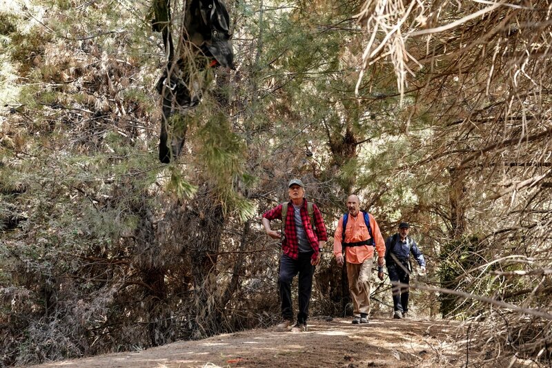 L-R: Leroy Jethro Gibbs (Mark Harmon), Phillip Brooks (Don Lake), Tobias Fornell (Joe Spano) – Bild: MMXVI by CBS Studios Inc.All rights reserved.