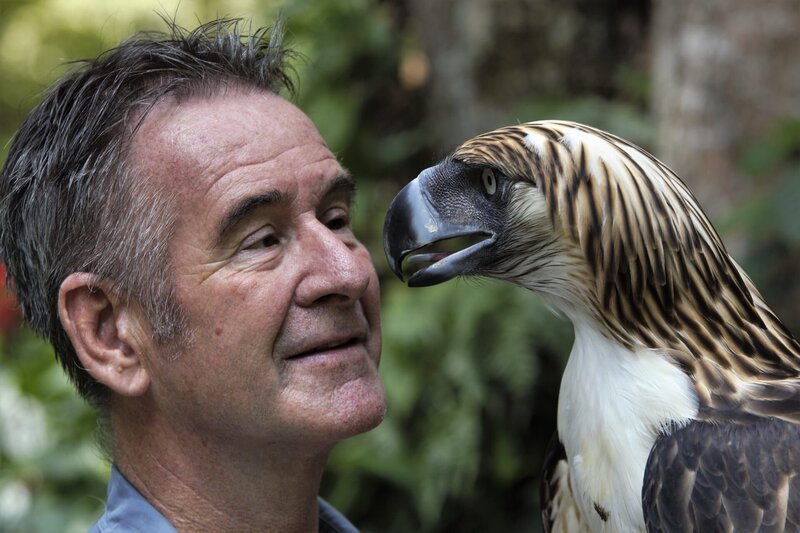 Nigel Marven mit einem Philippinenadler. Die prächtigen Greifvögel sind Wappentiere des Landes. – Bild: ZDF und Michael Hutchinson.