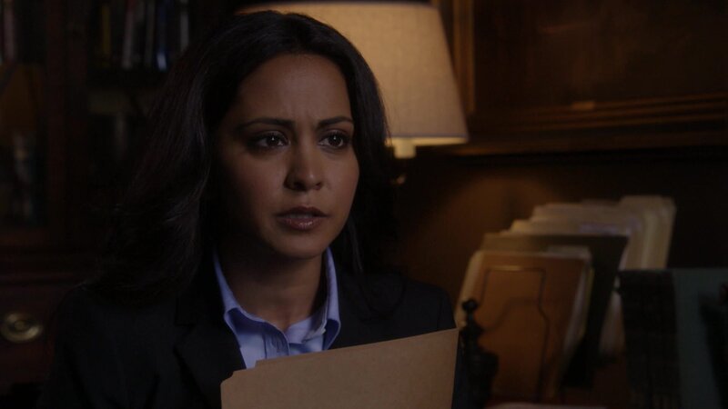 Meera Malik (Parminder Nagra) – Bild: AXN