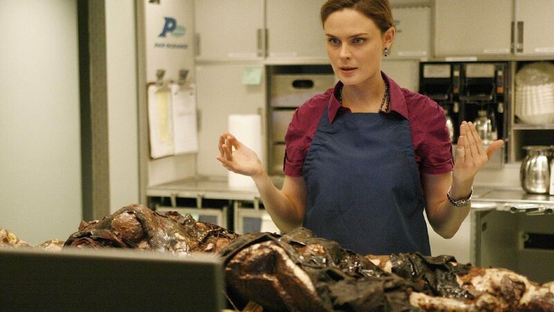 Während des Fluges nach Shanghai wurde eine Leiche in der Großküchenmikrowelle gefunden. Brennan (Emily Deschanel), die zufällig an Bord ist, versucht das Opfer zu identifizieren, was mit den vorhandenen Mitteln nicht einfach ist. – Bild: RTL /​ FOX