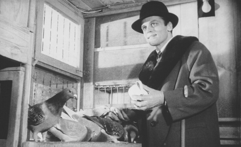 Steve (Klaus Kinski) – Bild: Tobis Film