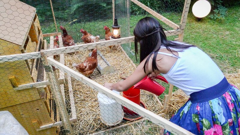 Nicht nur Hühner leben im Garten. Im Bild: My – Bild: Georg Bassek