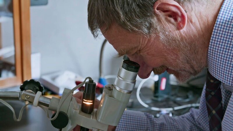 Forensiker auf Spurensuche. – Bild: Crime + Investigation /​ Liza Chambers