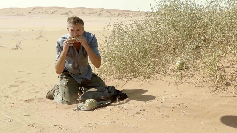 Lebewesen haben faszinierende Strategien entwickelt, mit dem launischen Planeten – auch an extremen Orten – zu überleben. Dirk Steffens ist in der Namib, der ältesten Wüste der Welt, einem dieser Rätsel auf der Spur: Wie schafft es die Narapflanze, mitten in der Wüste saftige Melonen zu produzieren? – Bild: ZDF und Hein von Zijl.