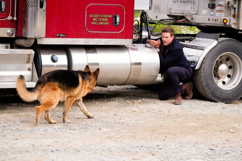 Charlie (JOHN REARDON) summons Rex (DIESEL VOM BURGIMWALD). – Bild: Photo Credit: Derm Carberry /​ Derm Carberry /​ © Shaftesbury