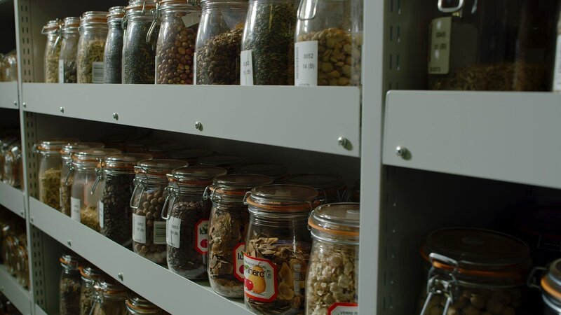 Samen unterschiedlichster Pflanzen aus der ganzen Welt lagern in der „Kew’s Millennium Seed Bank“ in Großbritannien, um sie retten zu können, falls sie in freier Natur aussterben. – Bild: ZDF