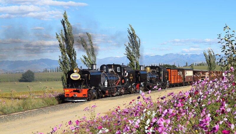 Cosmosblüte. – Bild: SWR