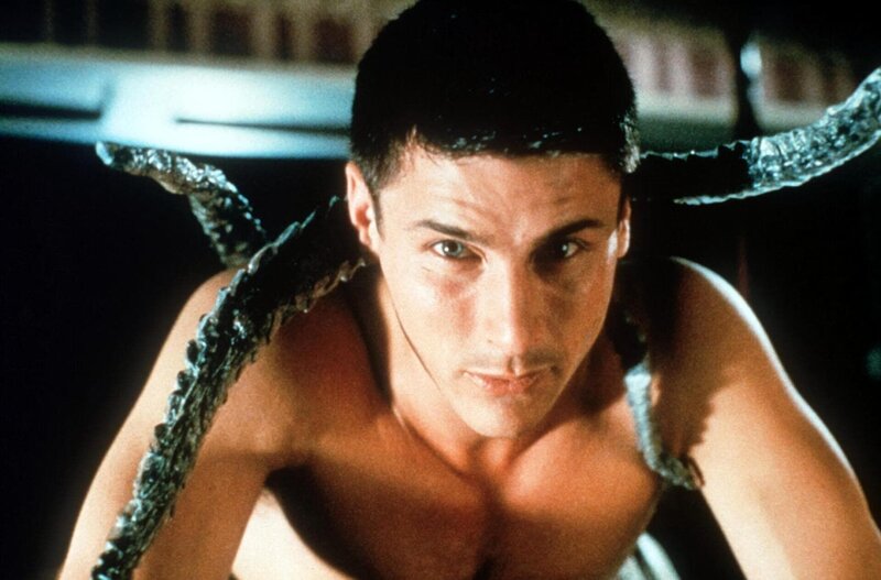 Species II – Bild: DMB