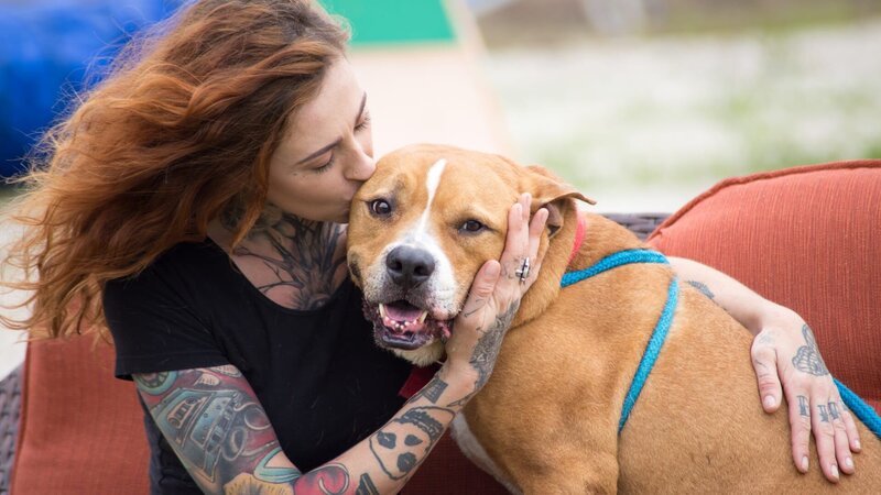 Mariah & Meatball during In-Show Feature. – Bild: Discovery Communications, LLC