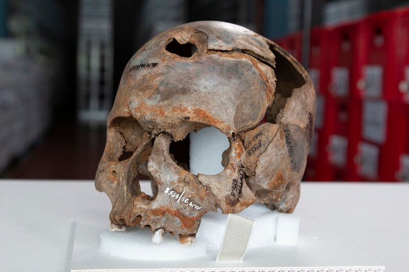 Bild: RTL /​ Barcroft Studios, a division of Future Publishing Ltd