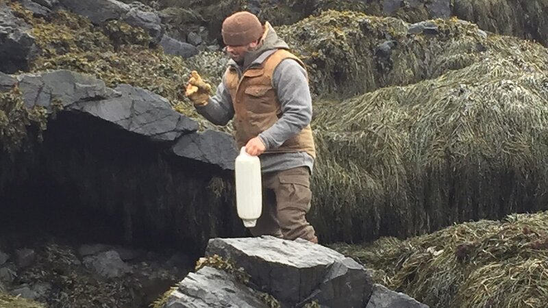 Bill McConnell on a rocky shore with a buoy and work gloves on Maine. – Bild: Discovery Communications